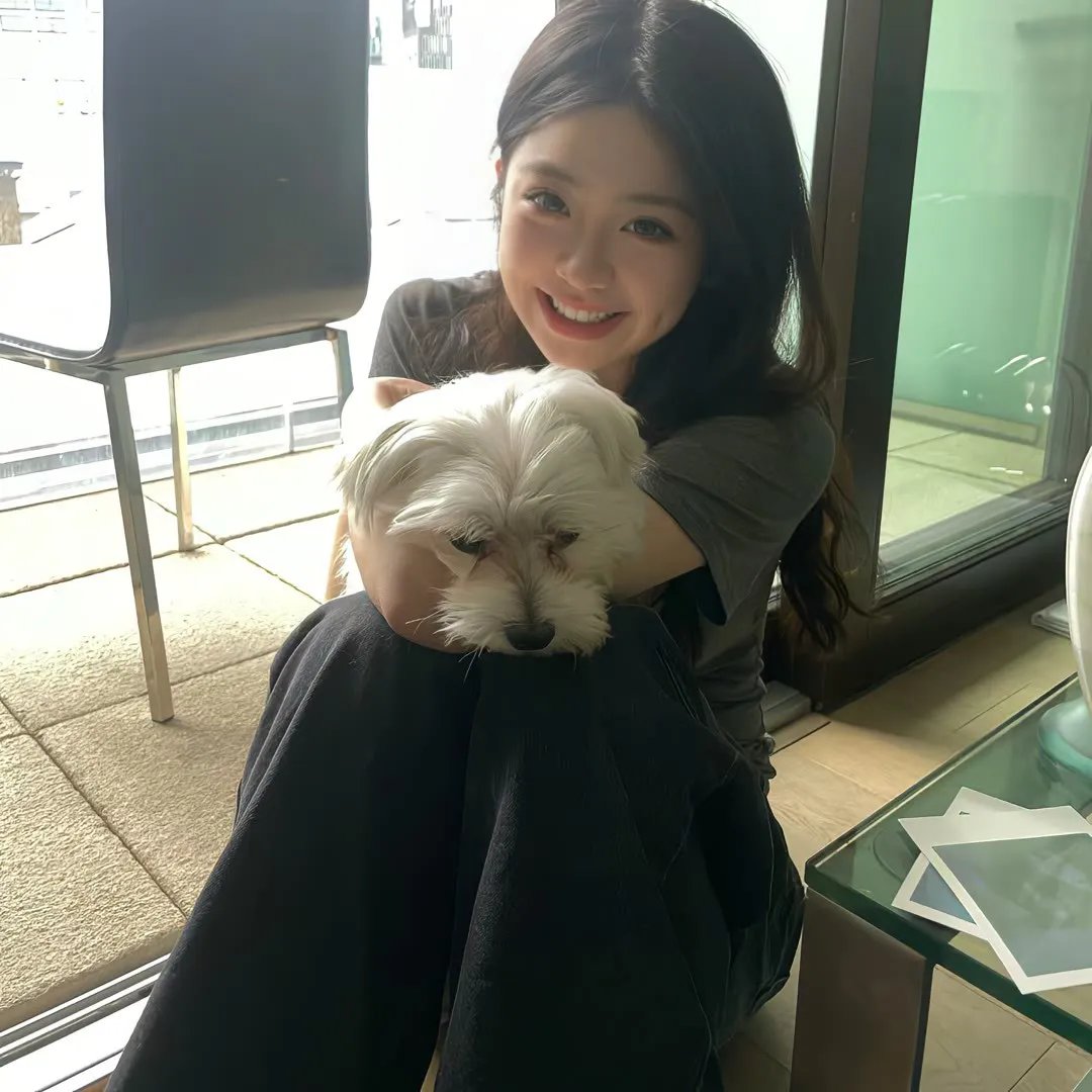 制胜系统，请叫我金牌律师